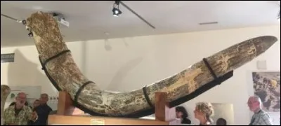 Pour agrémenter le tout, ajoutons qu'il était porteur d'une lourde hérédité : son grand-père n'était autre, en effet, que ... (Complétez !)