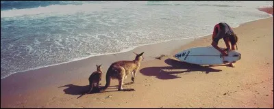 Quelle est la capitale de l'Australie ?