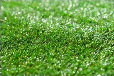 Quelle est la couleur de l'herbe ?