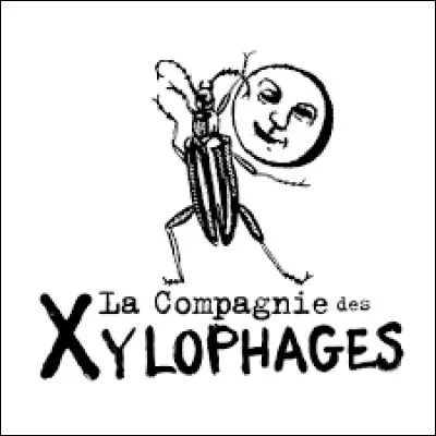 "X" comme "xylophage". Que figure au menu d'un organisme adoptant ce régime alimentaire ?