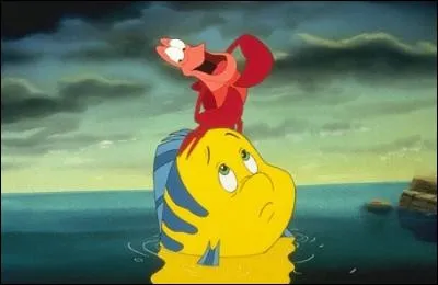 Qui sont les amis d'Ariel ?