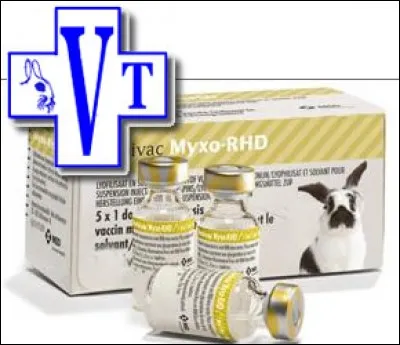 Un lapin qui ne quitte pas l'intérieur d'un appartement n'a pas besoin d'être vacciné.