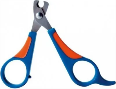 Les griffes de lapin poussent en continu et doivent être entretenues, pour cela il faut les couper.
Avec quel instrument ?