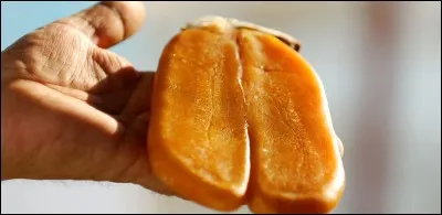 Ne ruez pas comme un mulet, trouvez simplement la réponse !