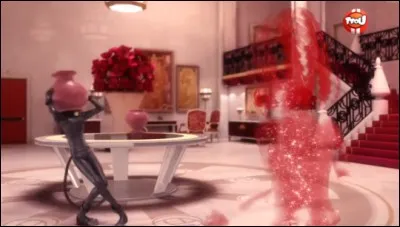 Qui est L'Invisible ?