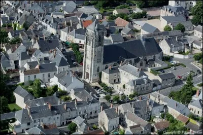 Petite ville du Val de Loire entre Blois et Orléans :