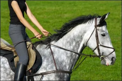 Pour conduire avec précision un cheval, il faut...