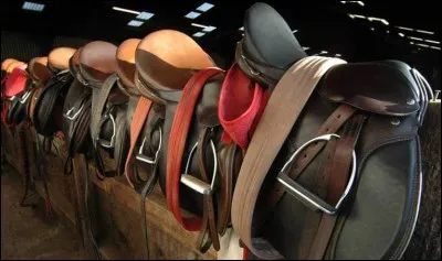 Sais-tu bien entretenir le harnachement ?