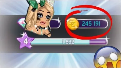 Comment s'appelle l'argent sur MSP ?