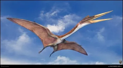 Quel était le plus grand reptile volant ?