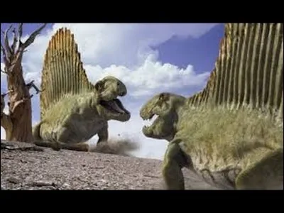 Dimétrodon est un dinosaure
