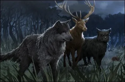 Quel est l'animal en lequel McGonagall peut se transformer ?