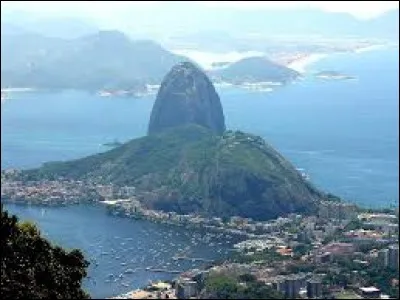 Sylvestre peut être son nom, c'est le...