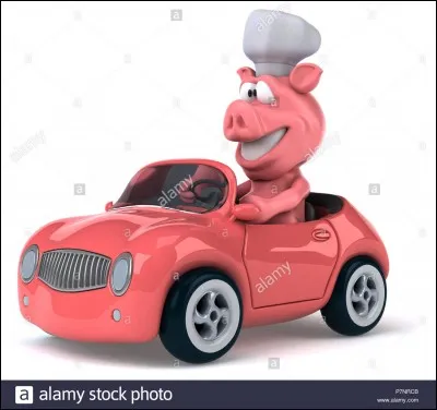 Quelle ville surnomme-t-on "La ville rose" ?