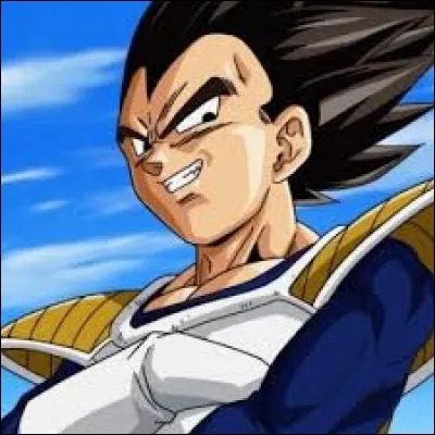 Depuis l'arc du "Tournoi du pouvoir", quel est le stade le plus évolué de Vegeta ?
