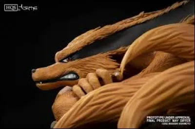 Autre animé. Qui est Kyubi ?
