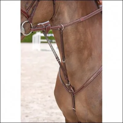 À quoi sert la martingale ?