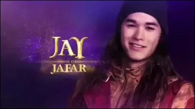 Quel acteur joue le rôle de Jay ?