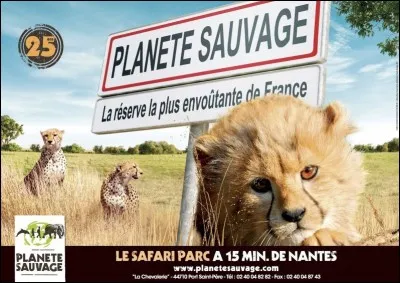 Pour changer, je vous emm&egrave;ne &agrave; Plan&egrave;te Sauvage !
