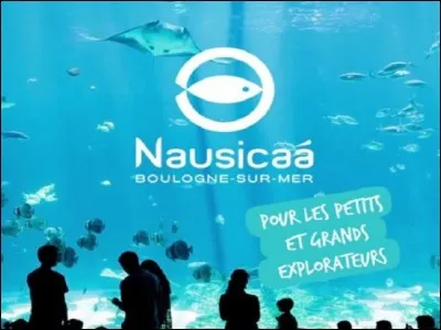 Et pour finir, un magnifique spectacle &agrave; Home-Nausicaa !