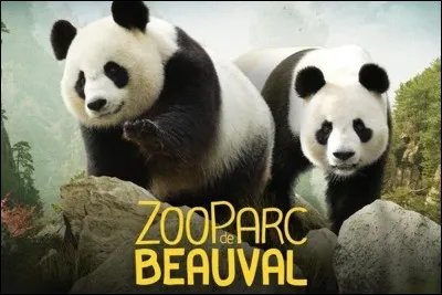 Peut-&ecirc;tre serez-vous plus inspir&eacute;(e) par le Parc de Beauval !