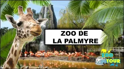 Tiens, pendant qu'on y est, pourquoi ne pas faire un d&eacute;tour par le Zoo de la Palmyre ?