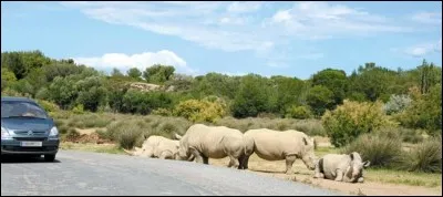 Un peu de chaleur vous tente, alors essayez la R&eacute;serve Africaine !