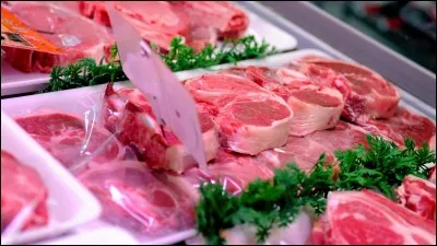 Les lapins nains mangent de la viande.