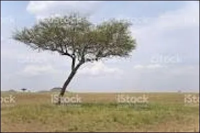 En changeant le n à cette illustration, vous aurez...