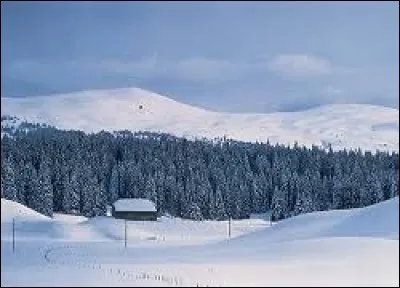 Petit tour en montagne, aux Molunes. Ancienne commune du parc naturel régional du Haut-Jura, elle se situe en région ...