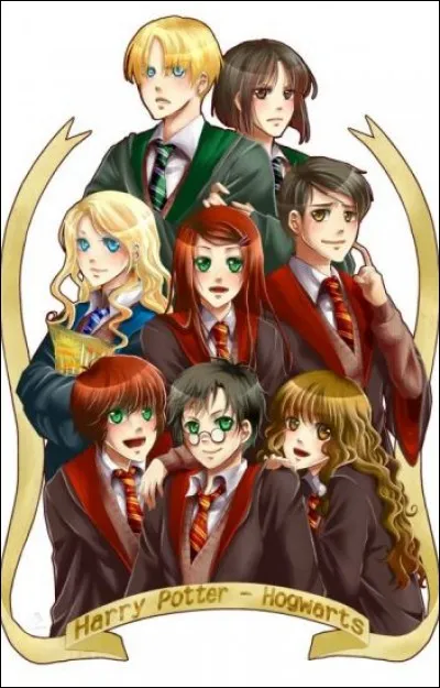 Pour toi, quelles sont les qualités d'un/e bon/ne sorcier/ère ?