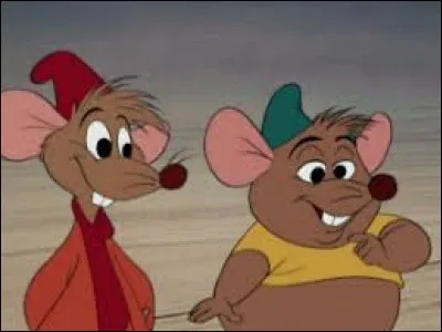 Comment s'appellent ces deux souris ?