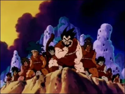 Qui est le seul saiyan sans cheveux ?