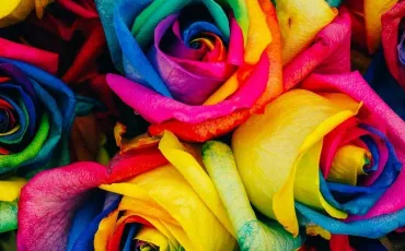 Quiz Couleurs
