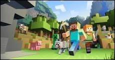 Quiz Minecraft