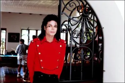 Quel a &eacute;t&eacute; son premier grand succ&egrave;s en solo ?