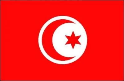 À quel pays ce drapeau appartient-il ?