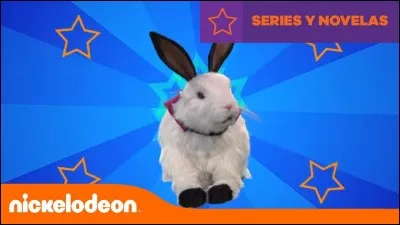 Comment s'appelle ce lapin ?