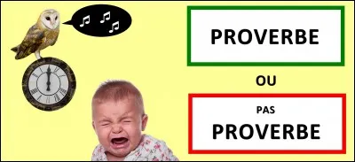 Quelle est la bonne réponse ?