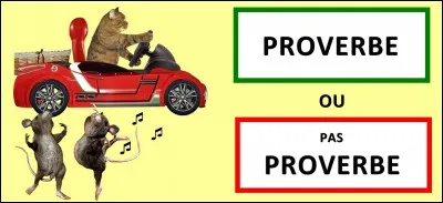 Quelle est la bonne réponse ?