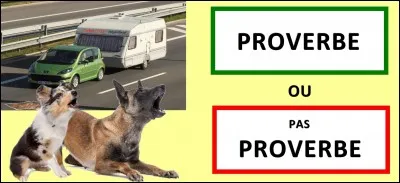 Quelle est la bonne réponse ?