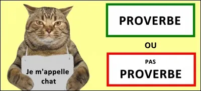 Quelle est la bonne réponse ?