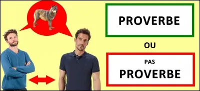 Quelle est la bonne réponse ?