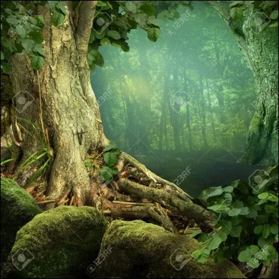 Si tu te réveilles dans un pays bizarre, tu...