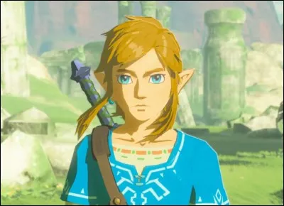 Qui est Link ?