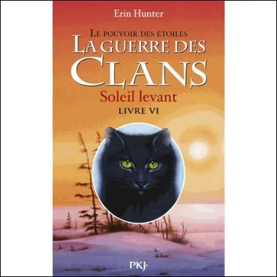 Comment est-il mort ?