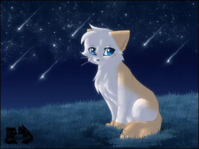 Comment est-il mort ?