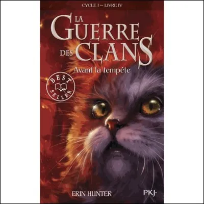 Qui est son compagnon ?