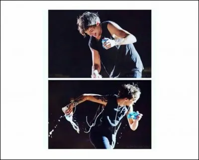 Avec quel autre membre des 1D Louis avait-il l'habitude de faire des batailles d'eau à la fin de chaque concert ?