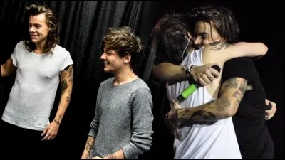 Quelle est cette romance entre Louis et un autre membre des 1D ?